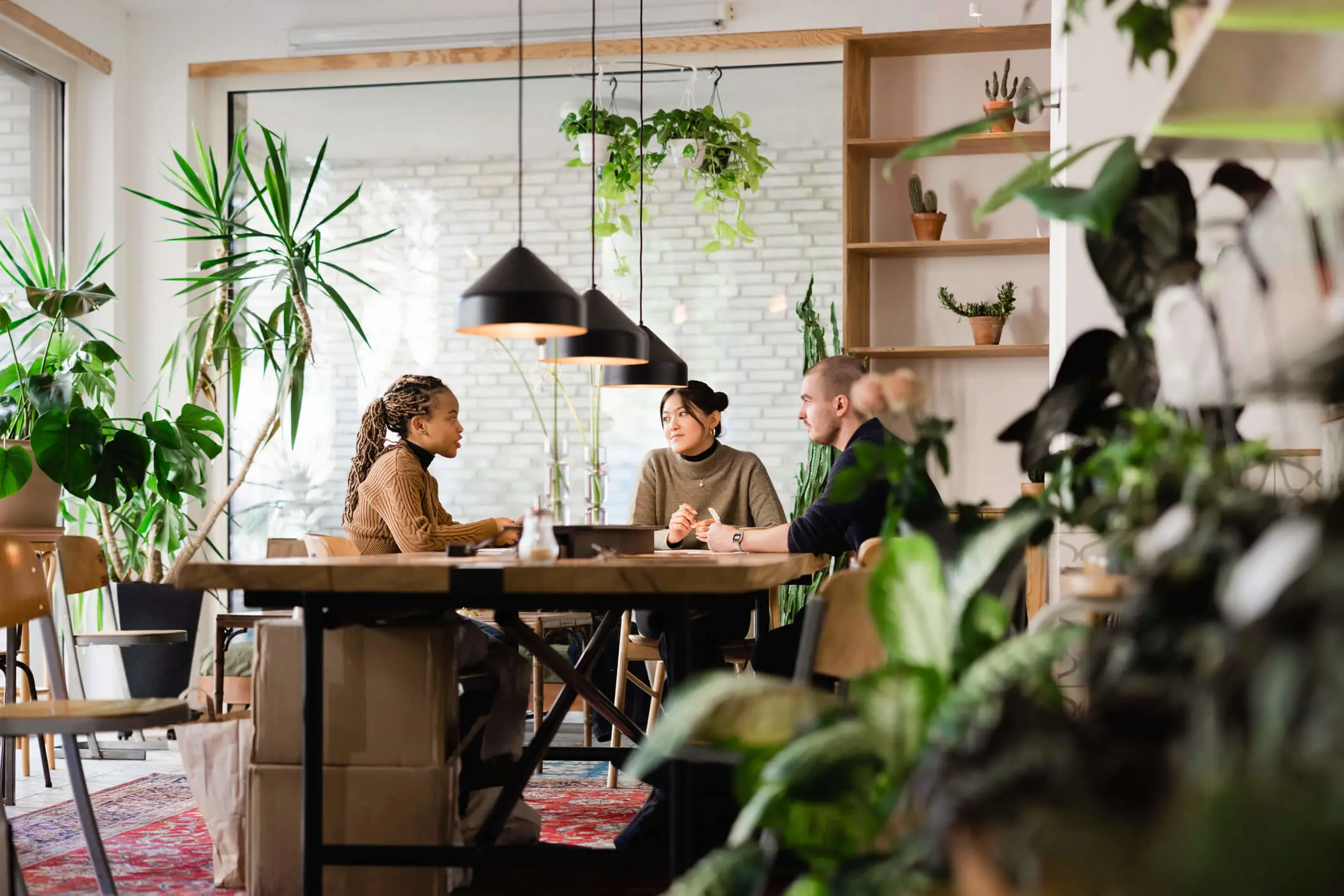 Twee dames en een heer hebben een bespreking in een kamer gevuld met allerlei planten